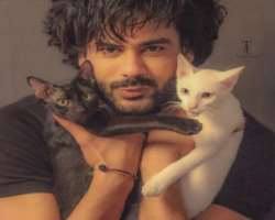 Singh has adopted two kittens in his home. He often refers to them as Baarod and Kartoos.